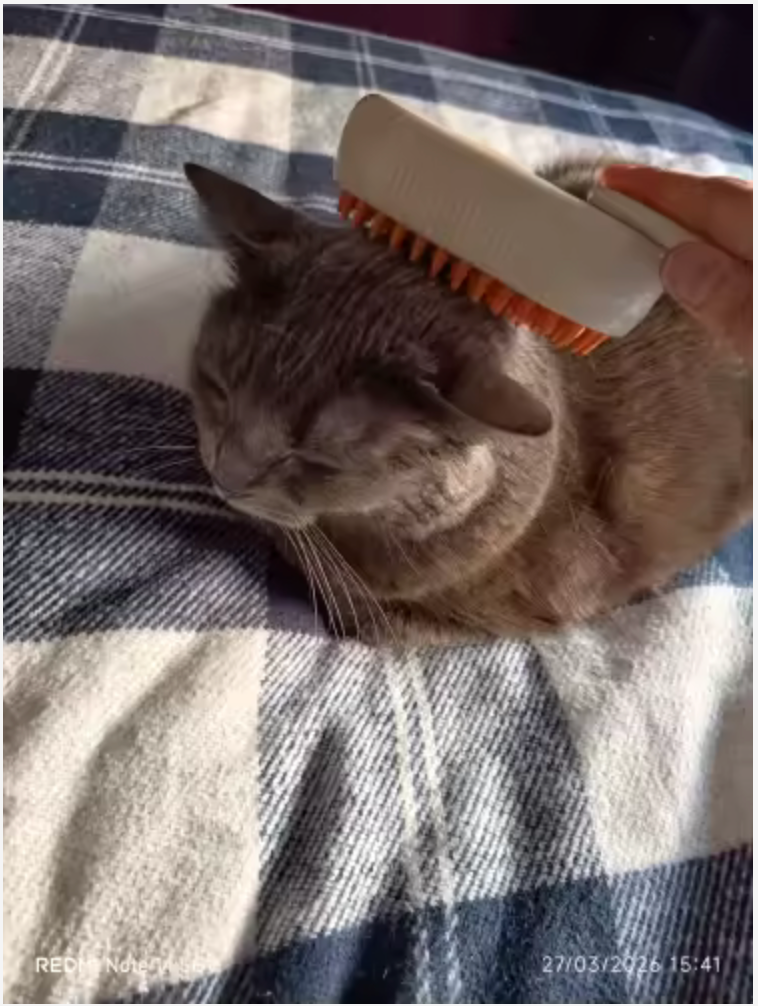Cepillo para Perros y Gatos con Suave Brisa