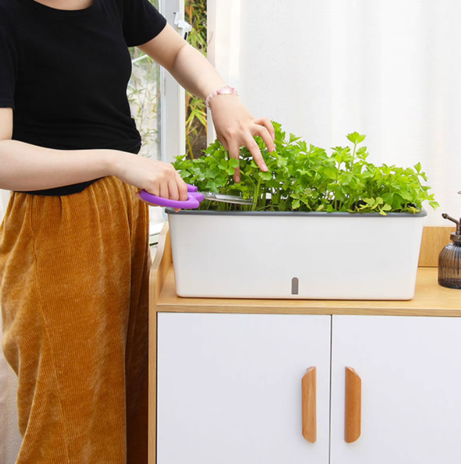 🌱💧 Maceta de Autorriego con Indicador de Agua – Cuida tus Plantas Fácilmente