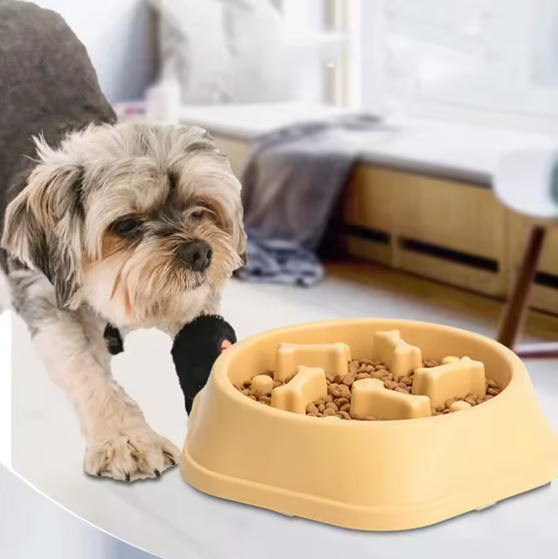 🐶🐱✨ Comedero Antivoracidad para Perros y Gatos – Alimentación Lenta y Diseño Antideslizante