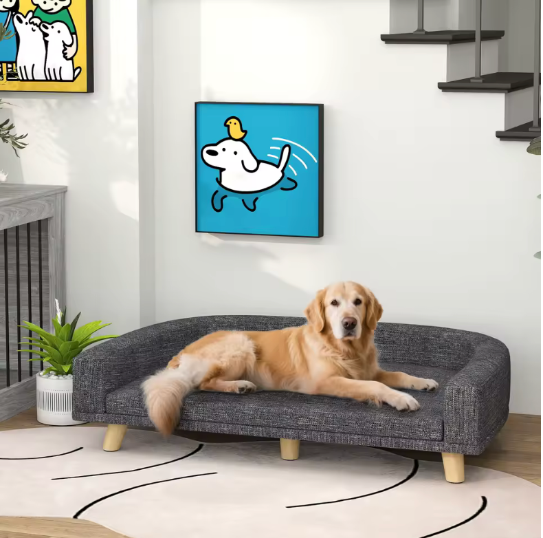 🐶 Sofá Elevado para Perros Grandes | Cama Cómoda con Cojín Lavable