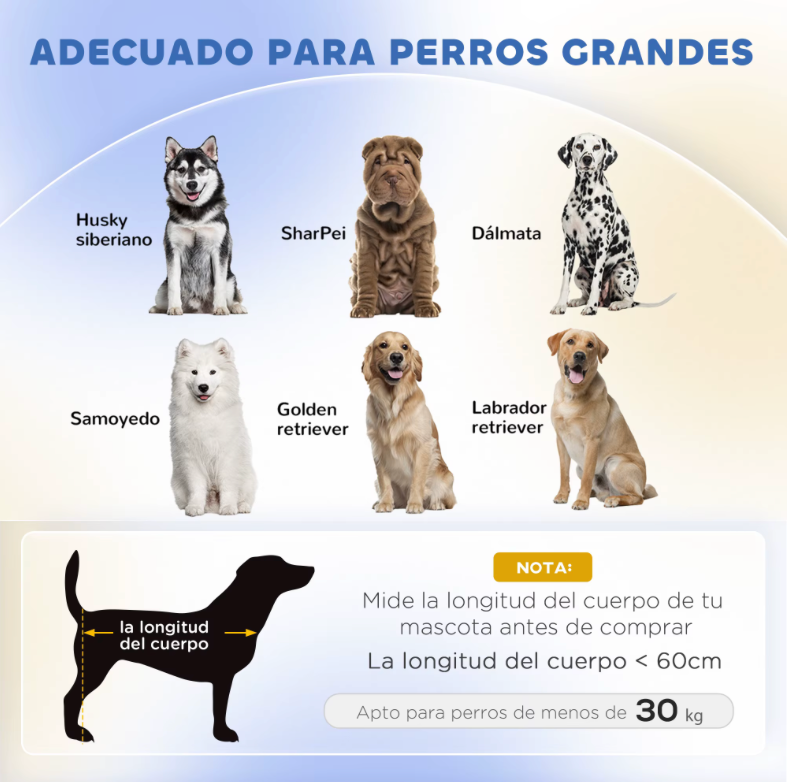 🐶 Sofá Elevado para Perros Grandes | Cama Cómoda con Cojín Lavable