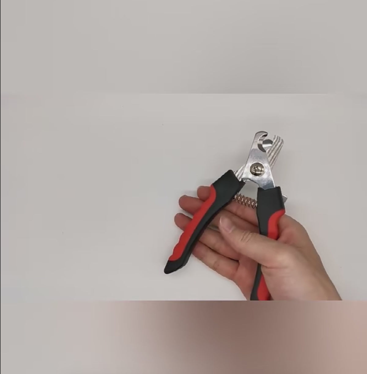 🐾✂️Cortauñas Profesional para Perros y Gatos con Protector de Seguridad | Corte Preciso y Seguro